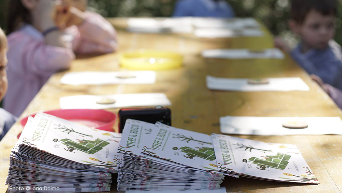 31120822_1946091275432314_2980792133323063296_o