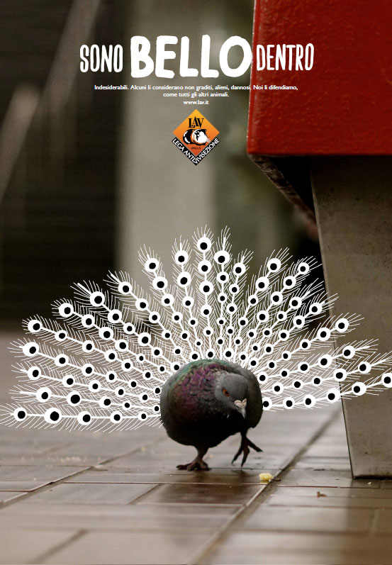 illustration illustrazione