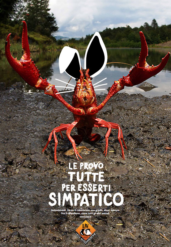 illustration illustrazione