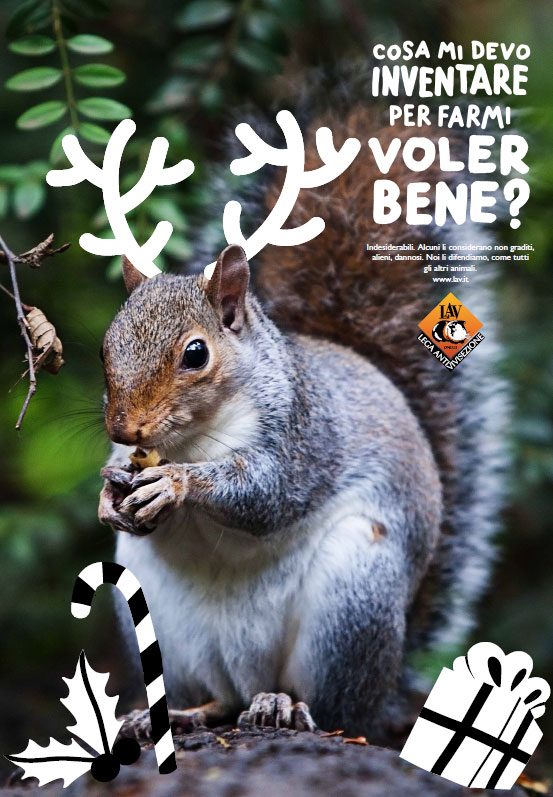 illustration illustrazione