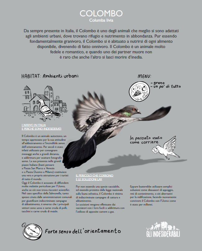 illustration illustrazione