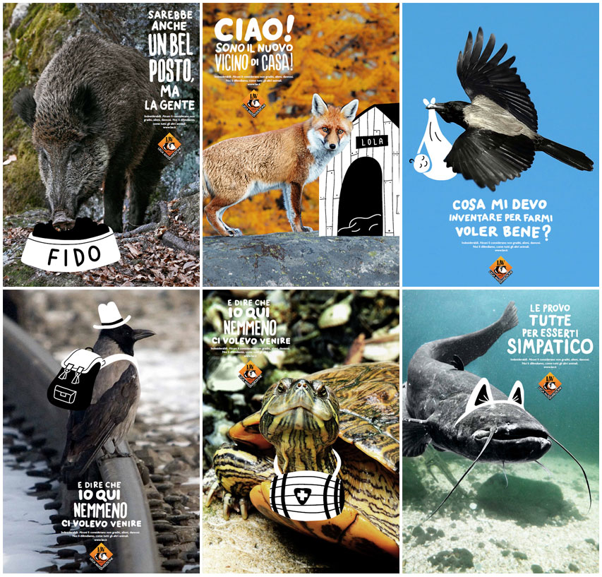 illustration illustrazione