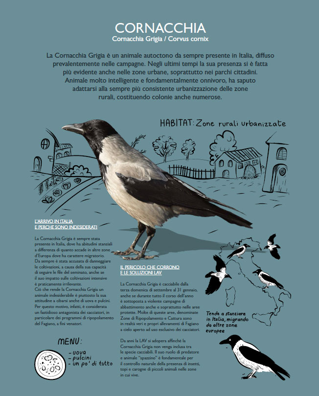 illustration illustrazione