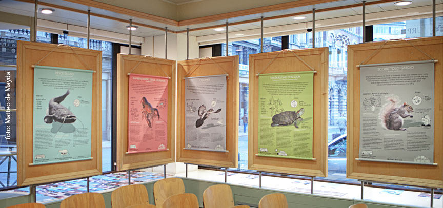 illustration illustrazione