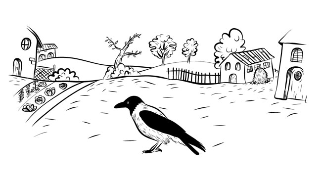 illustration illustrazione