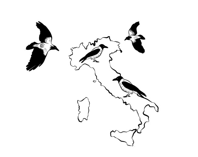 illustration illustrazione