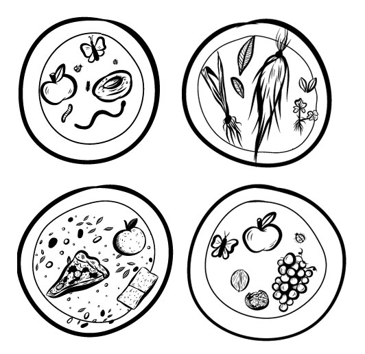 illustration illustrazione