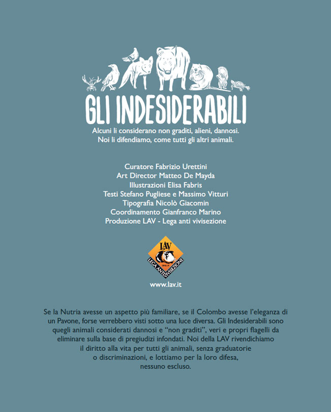 illustration illustrazione