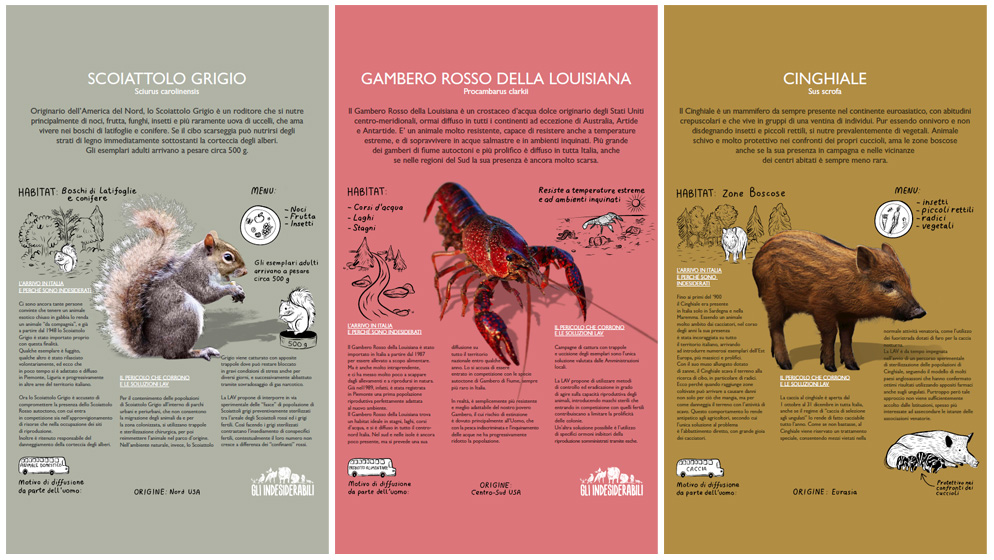 illustration illustrazione