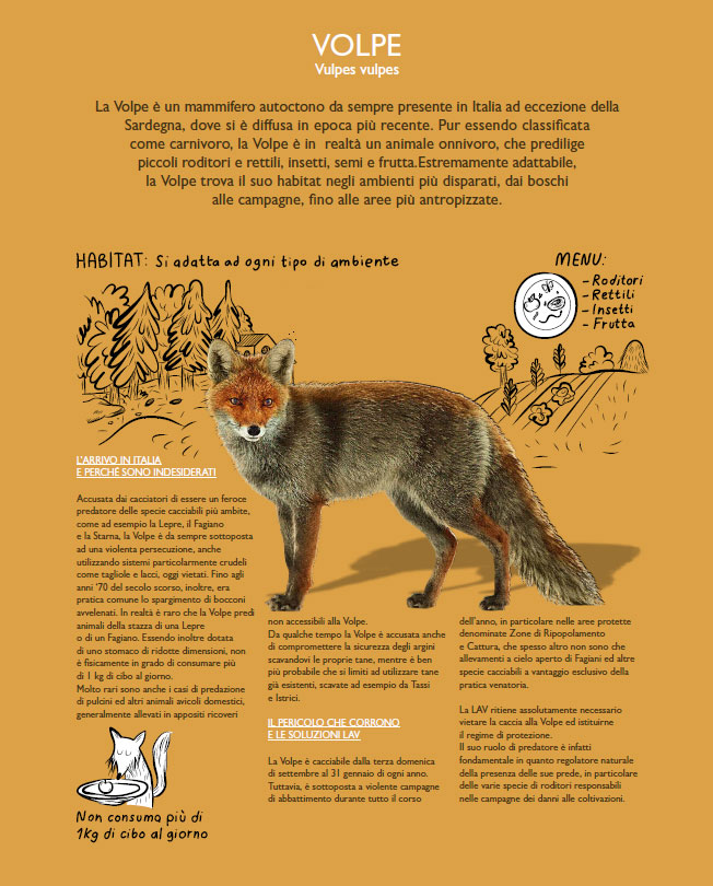 illustration illustrazione