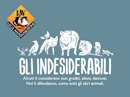 elisetta elisa fabris Gli Indesiderabili 