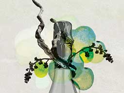 elisetta elisa fabris RUGGERI