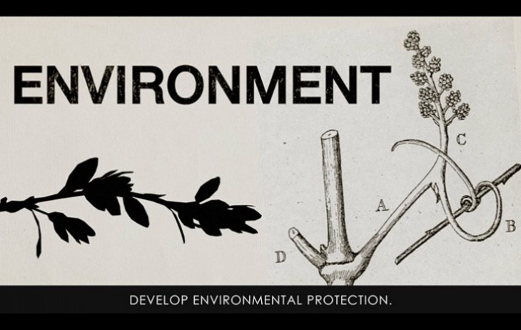 elisetta elisa fabris AUSTRALIAN NATURAL STORAGE illustration illustrazione animation animazione
